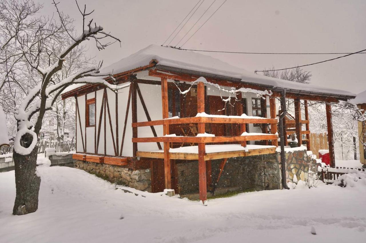Mitrovic Apartamento Boljevac Exterior foto