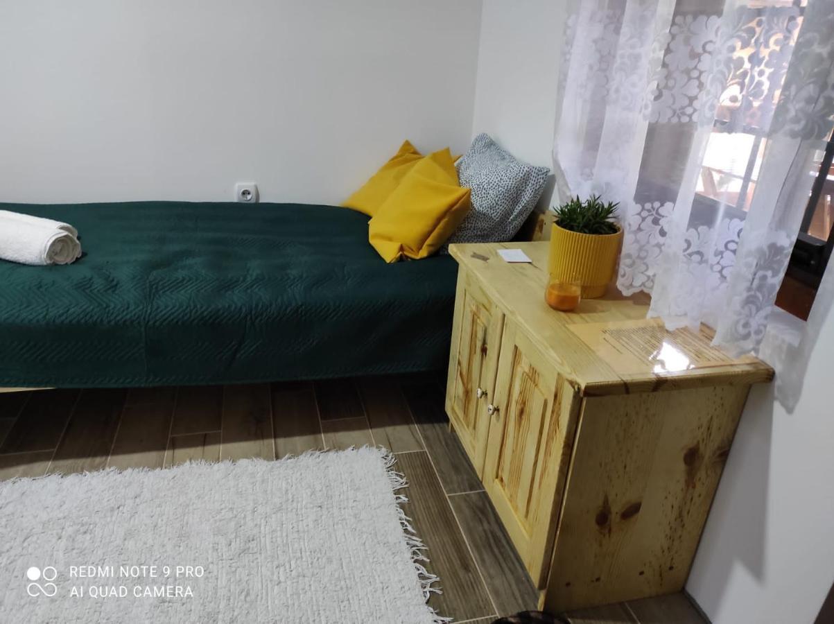 Mitrovic Apartamento Boljevac Exterior foto