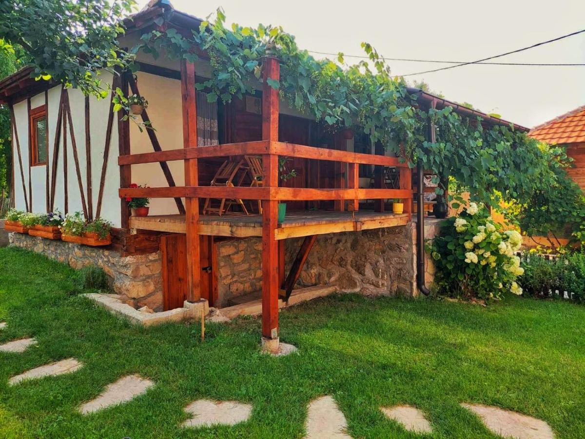 Mitrovic Apartamento Boljevac Exterior foto