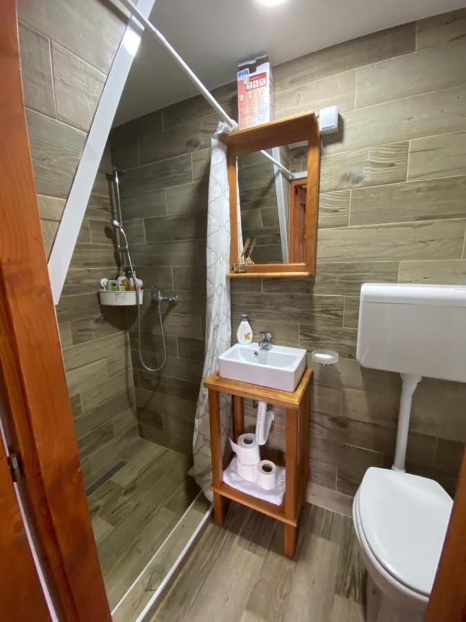 Mitrovic Apartamento Boljevac Exterior foto