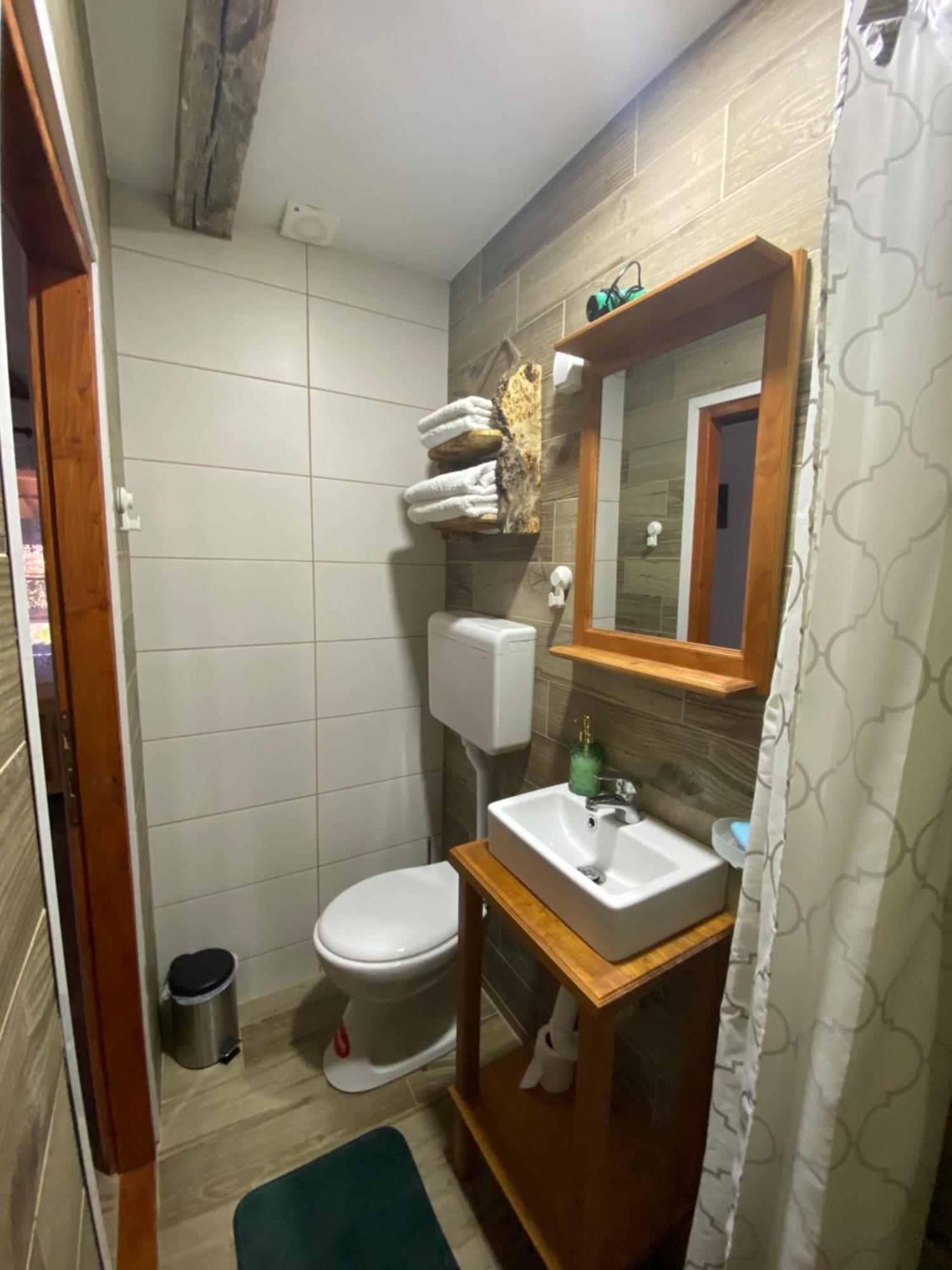 Mitrovic Apartamento Boljevac Exterior foto