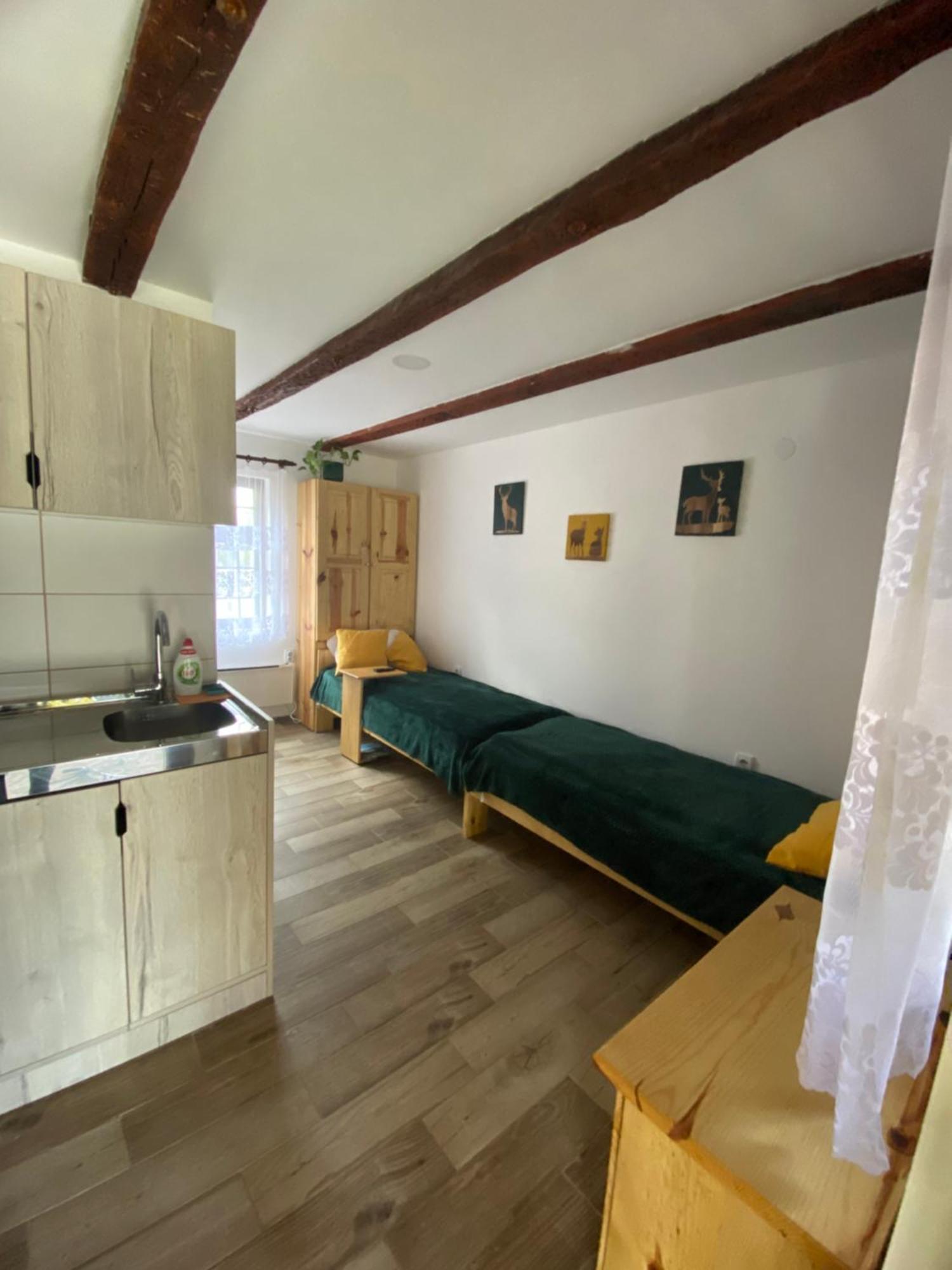 Mitrovic Apartamento Boljevac Exterior foto